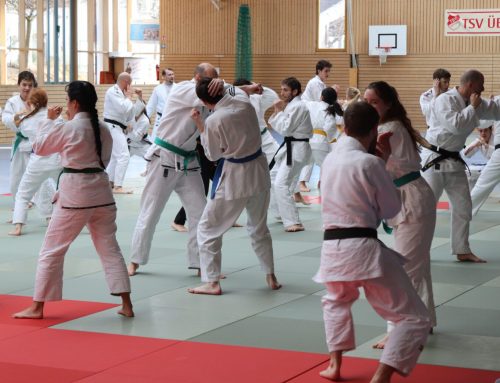 Ju-Jutsukas aus ganz Bayern in Übersee: Erfolgreicher Landeslehrgang